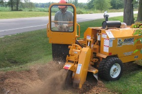 Stump Removal